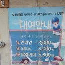📍여의도공원 인라인 대여부터 농구까지? 직접 체험한 꿀팁 총정리!