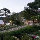 마호가니 이미지