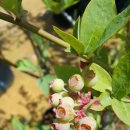 화련농장 이미지