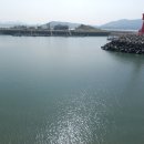 디딤돌농장 이미지