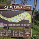 가족소풍캠핑장 | 평택 소풍정원 나들이 + 캠핑장 이용 후기 (가족과 힐링코스 추천!)