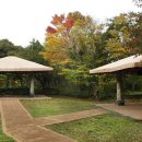 교래자연휴양림 이미지