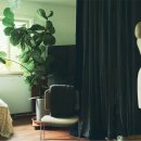 페르마타 이미지