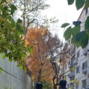 동신의원 이미지