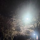 세븐일레븐 평택은혜로점 이미지