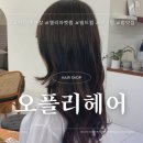 대전 월평동 미용실 &lt;오플리헤어&gt; 빌드펌 인생머리 찾은 서아쌤 재방문 후기