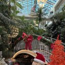 포레스트모가 | [인천 송도] 포레스트 아웃팅스 주말 주차 꿀팁! 부모님 모시고 가기 좋은 명당 좌석 추천 (내돈내산)