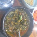 맛집 제주도 놀거리 추천 - 공항 근처 아침식사 가능 식당 (나라국밥) / 제주 981 파크 이용 후기, 꿀팁