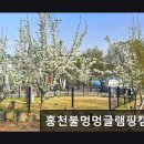 베이컨 홍천 | ＊강원도추천캠핑장＊ 홍천불멍멍글램핑캠핑장 반려견과 편안한 캠핑 경험