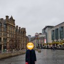 와가마마 이미지