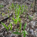 Ramps 경사로 이미지
