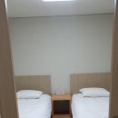 강시 | &lt;영월&gt; 탑스텐동강시스타리조트 이용후기; 반려견동반숙박 (내돈내산)