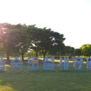 하단동1209 이미지