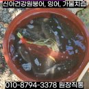 합천건강원