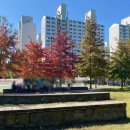 모담산 유아숲체험원 이미지