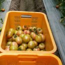 세민농장 이미지