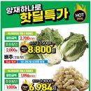 제철한입
