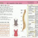 브리스건강기능성속옷 이미지