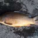 신가리낚시터 이미지