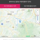 패밀리 식당