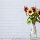 정리정돈+미니멀라이프 이미지