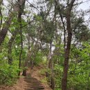부용리 마애여래입상 | [세종명산] 세종의 숨은 소금강, 봄바람 따라 만난 꾀꼬리봉🌿