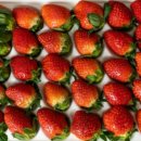 냉산쉼터 이미지