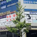 얼굴선햅번스타일