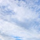 에이원 CC | 에이원cc 9월가을 라운딩 후기