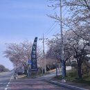 맥도 | 김해공항 무료 주차장 맥도생태공원 위치 꿀팁 이용 후기