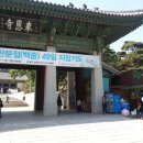 강남-002 이미지