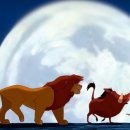 스포츠파크 보조경기장 이미지