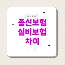 나에게 알맞은 실손보험(실비보험) 제대로 알기 | 종신보험과 실비보험: 제대로 알기