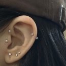 배꼽 | 배곧귀걸이 그린피어싱 배곧본점 피어싱, 배꼽피어싱 후기