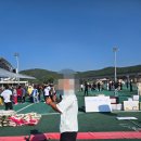 모두함께 모여 즐거운 한마음 체육대회 후기