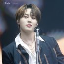 플레로마 이미지