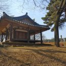 창평 문일정 | 오인교의 전라도누정기행-송림(松林)에 묻힌 담양 문일정(聞一亭)-1