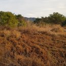 토지면사무소 이미지