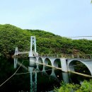 천년 행정사 이미지