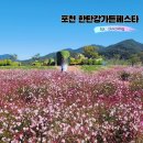포천 한탄강생태경관단지에서 열리는 가든페스타 꽃축제와 Y자 출렁다리 여행