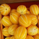 동팔이네 이미지