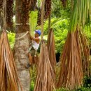 세포농장 이미지