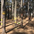 샘물어린이집 놀이터 이미지