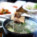 영월맛집