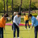 파크골프 이미지