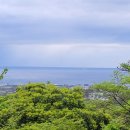 숲바 이미지