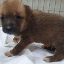 디아크동물종합병원 이미지