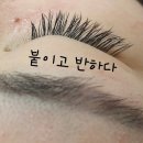 붙이고 반하다