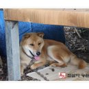 순종1농장 이미지