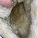 슈올즈 대전역점 이미지